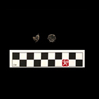 Unit 11, Abby Miller’s House, U11, Buttons, Click for Larger Image