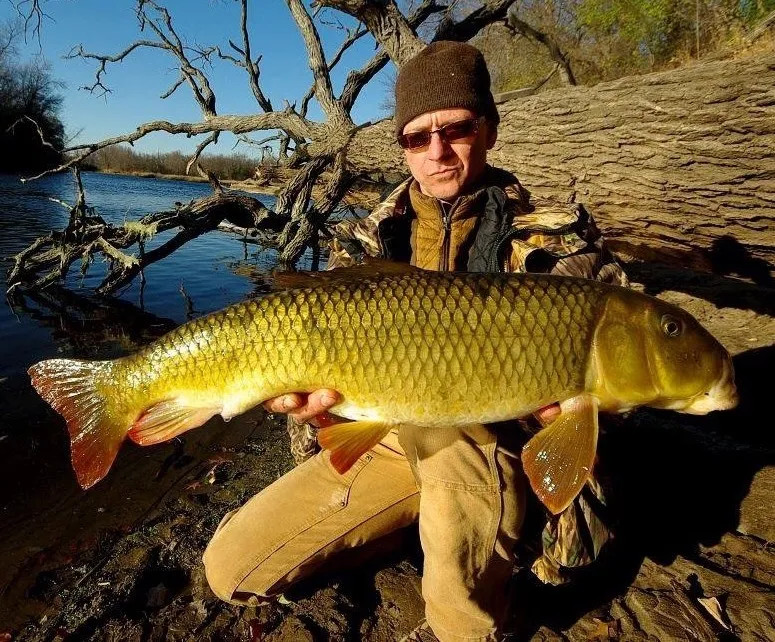 Man sits with large carp fish