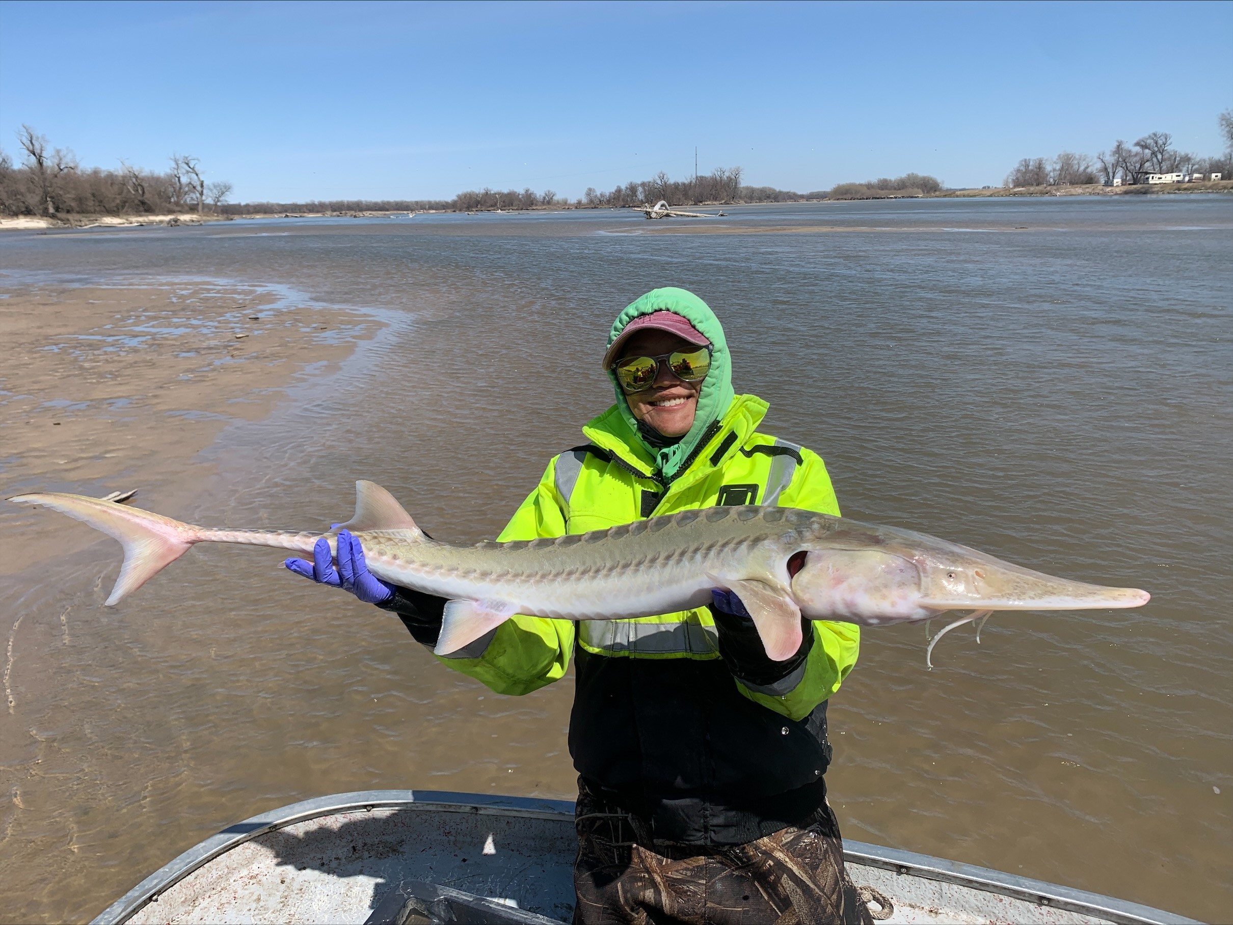 Woman poses with large carp fish