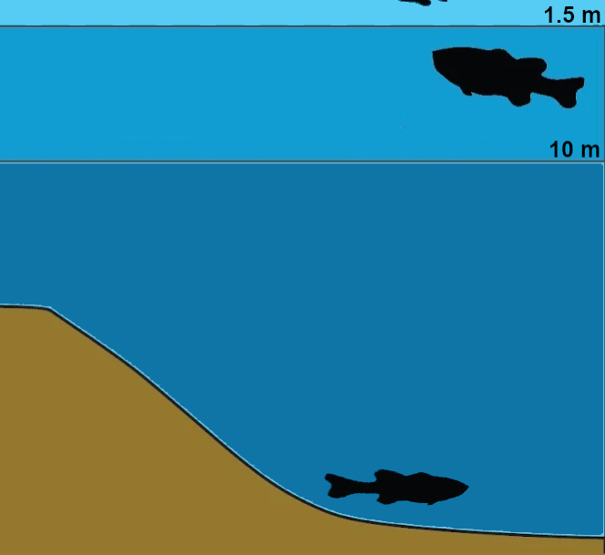 Water Depth with fish graphic